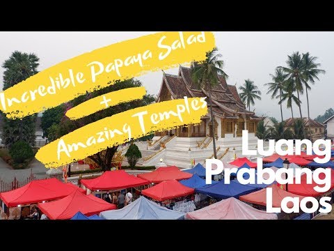DELICIOUS Papaya Salad + HISTORIC Temples in Luang Prabang, Laos!