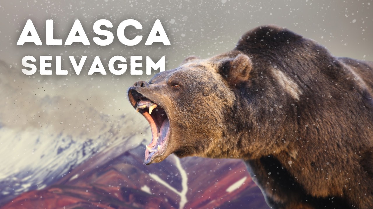 ALASCA SELVAGEM | Geleiras, Montanhas e a Vida Selvagem | DOCUMENTÁRIO