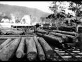 Big Joe Williams Old Saw Mill Blues (1963)