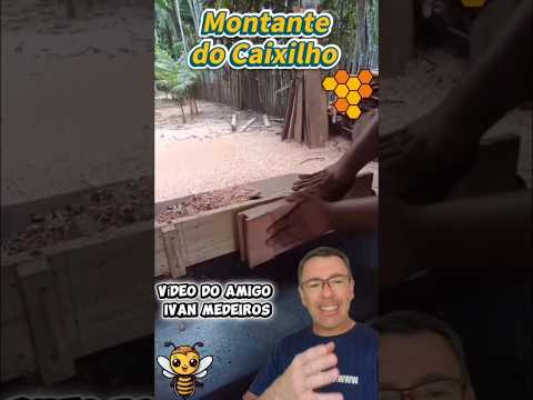 Dica para Fazer o Montante do Caixilho das Caixas de Abelha🐝🌻