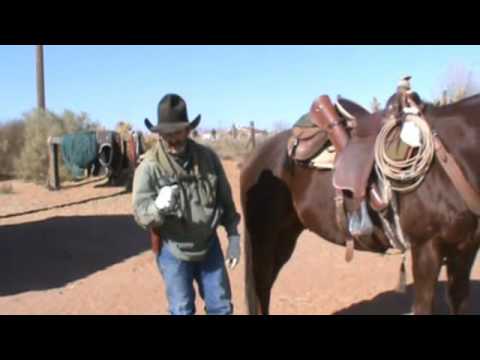 YouTube video about: How to remove a horseshoe without farrier tools?