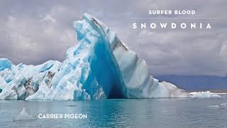 Surfer Blood - Carrier Pigeon (Official Audio)