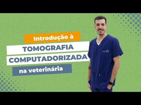 Introdução à Tomografia Computadorizada na Veterinária