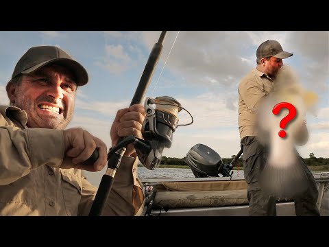 LE GÉANT DU CONTINENT AFRICAIN - Cyril Chauquet