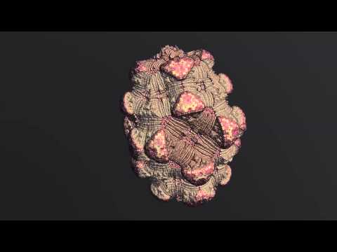3D Fractal Animated - Boxodron