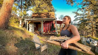 I Can't Do This Anymore! Off Grid Cabin Shed to House Alone in the Woods