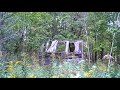 Old Radio Shack A Walk In The Woods WR 456 The Netherlands