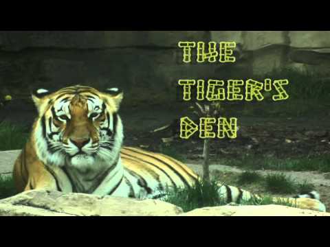 May 6th Power Trading Hour with David White on TFNN - 2016