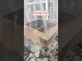 Shortvideo Usaharumahan Bolen Bakedbyjune