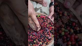 Download lagu Rujak buah buni, sour sweet and fresh. mp3 Download lagu Rujak buah buni, sour sweet and fresh. mp3