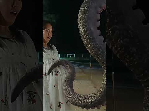 The giant octopus spared the pregnant woman! | Big Octopus | YOUKU MONSTER MOVIE