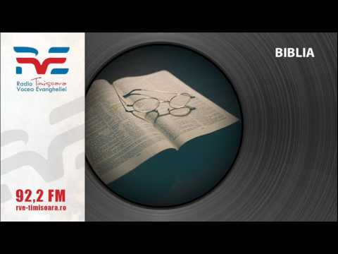 35 - Biblia - Habacuc cap 2