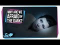 Why Are We Afraid Of The Dark