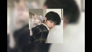 Cover art for THE SHADE