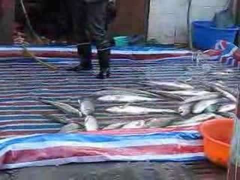 Winter 2008 in China - 7, Pingdingshan