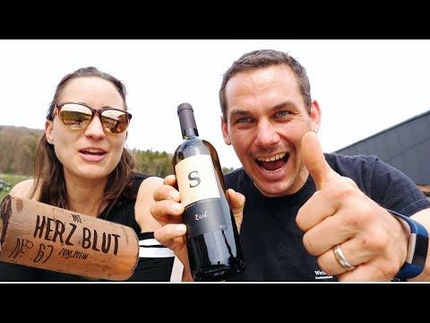 Die einen mögen ihn, die anderen nicht | mit Herzblut zum Wein Vlog #67