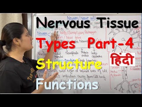 Nervous Tissue in Hindi | Part-4  | Neuron | Types | Structure | Functions