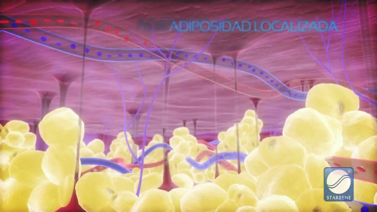 Claudine Guasco Herrera-8