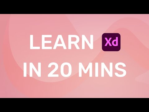 Learn Adobe Xd in 20 Minutes! Beginner Tutorial