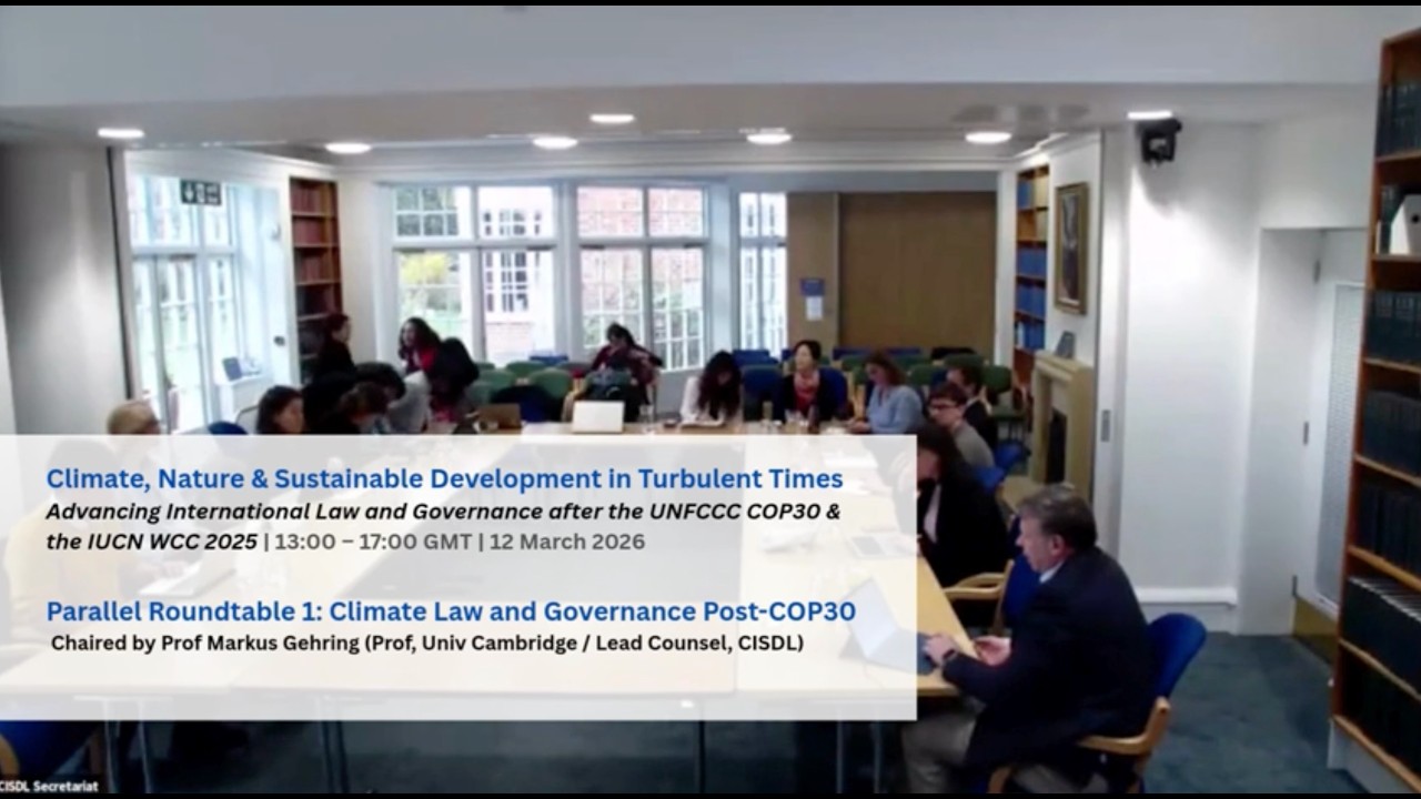 Climate, Nature & Sustainable Development in Turbulent Times (12 March 2026) - Climate Panel