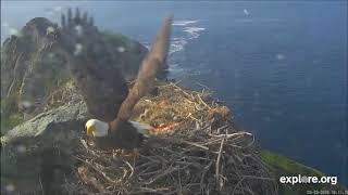 3-23-19 West End-  SM Defending &amp; Giving Chase To Ravens