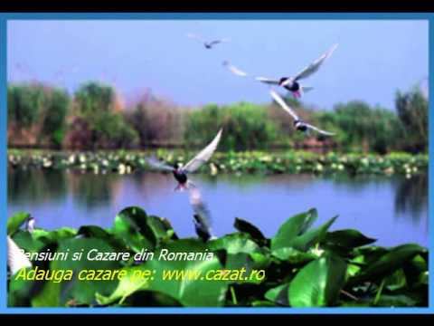 Cazare Gramesti, Suceava - Cazat.ro