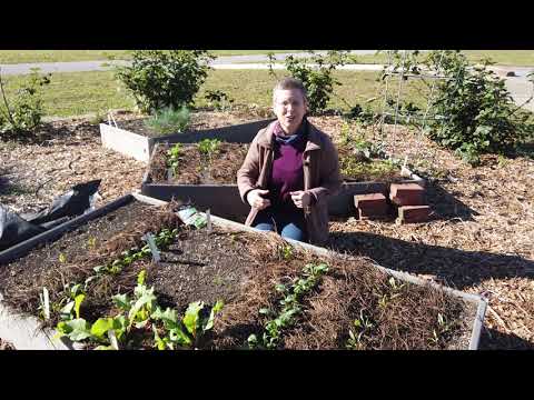 Getting Started with Cilantro
