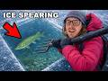 I Speared Giant Fish Through The Ice