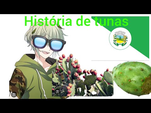 História de tunas do.RIO GRANDE DO SUL