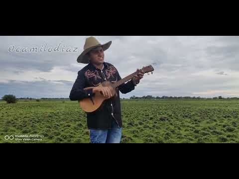 CRAVO NORTE - ARAUCA CAMILO DIAZ EL TUCUSITO DEL LLANO.