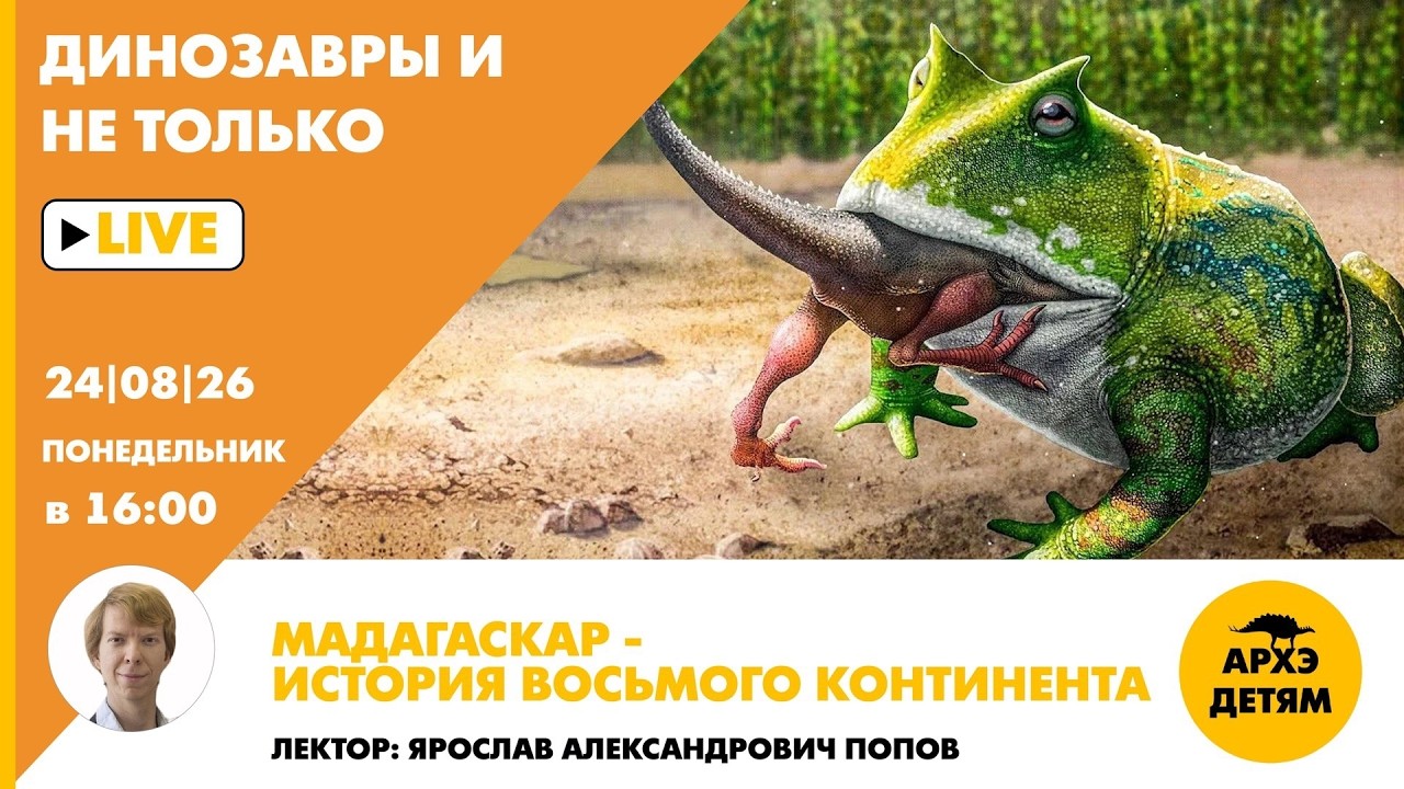 Занятие «Мадагаскар — история восьмого континента» рубрики "Динозавры и не 