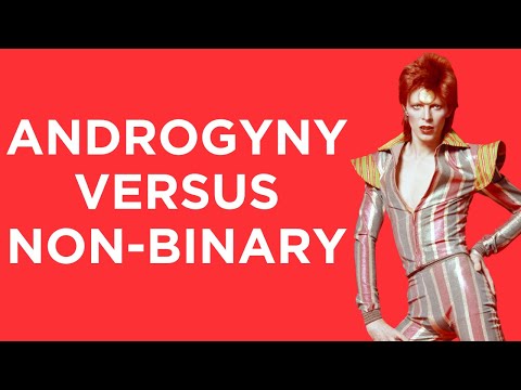 The difference between ANDROGYNY and NON-BINARY