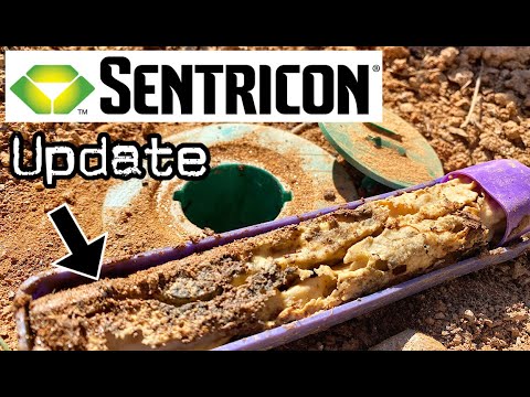 Sentricon Termite Bait Stations (1 Year Update)