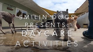 Daycare Activities