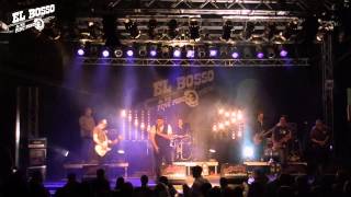El Bosso & Die Ping Pongs LIVE: Egal (2013)