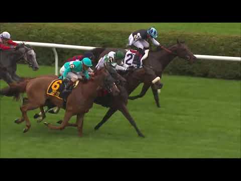 2017 Beverly D. Stakes