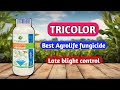 Tricolor fungicide | Best agro life tricolor fungicide  | tricolor fungicide dose