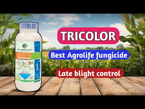 Tricolor fungicide | Best agro life tricolor fungicide  | tricolor fungicide dose