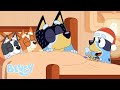 Travesura Navideña Santa Del Porche Bluey Español Canal Oficial