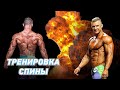 Тренировка спины / Какой у меня рацион?