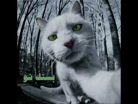 Shahyn bestek now feat samer شاهين و سامر بستك نو