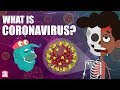 CORONAVIRUS | What Is Coronavirus? | Coronavirus Outbreak | The Dr Binocs Show | Peekaboo Kidz