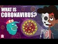 CORONAVIRUS What Is Coronavirus Coronavirus Outbreak The Dr Binocs Show Peekaboo Kidz