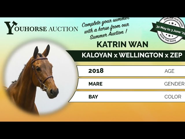 Katrin Wan showvideo