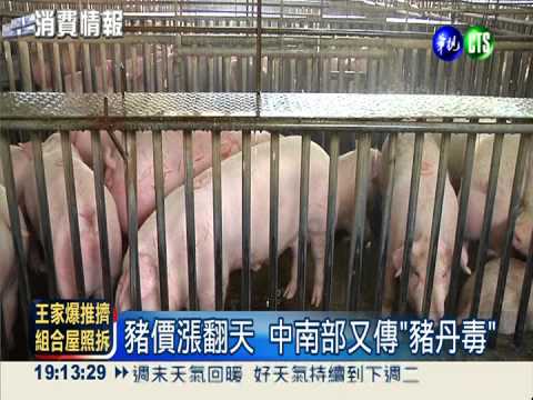 中南部傳"豬丹毒" 豬價雪上加霜
