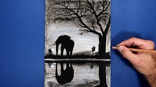 Drawing Elephant at sunset  Black and white
