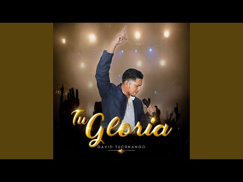 Voy a perder la Compostura (En Vivo)