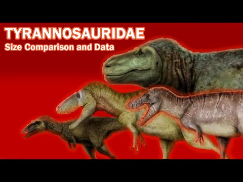 TYRANNOSAURIDAE : Dinosaur Size Comparison and Data