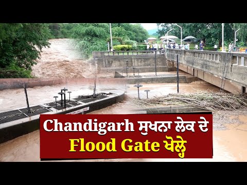 Chandigarh ਸੁਖਨਾ ਲੇਕ ਦੇ flood gate ਖੋਲ੍ਹੇ ਦੇਖੋ
