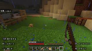【PS5】へたっぴだけどマイクラが好き　★★　4月29日